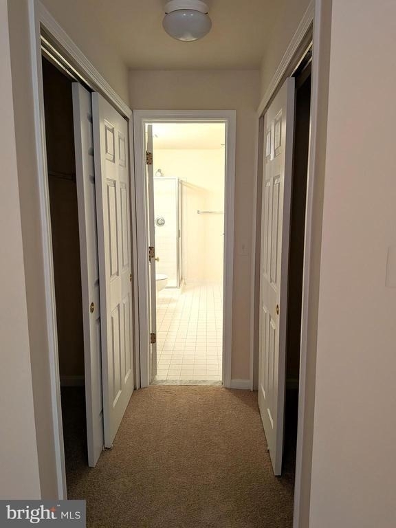 109 Timberbrook Lane - Photo 14