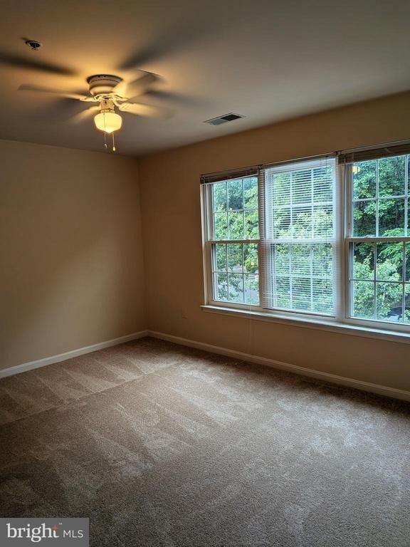 109 Timberbrook Lane - Photo 10