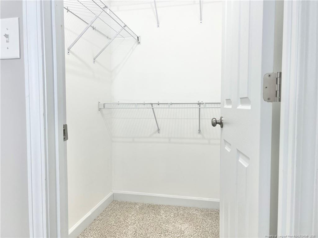 1523 Rough Rider Lane - Photo 39