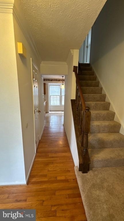8698 Open Meadow Way - Photo 4