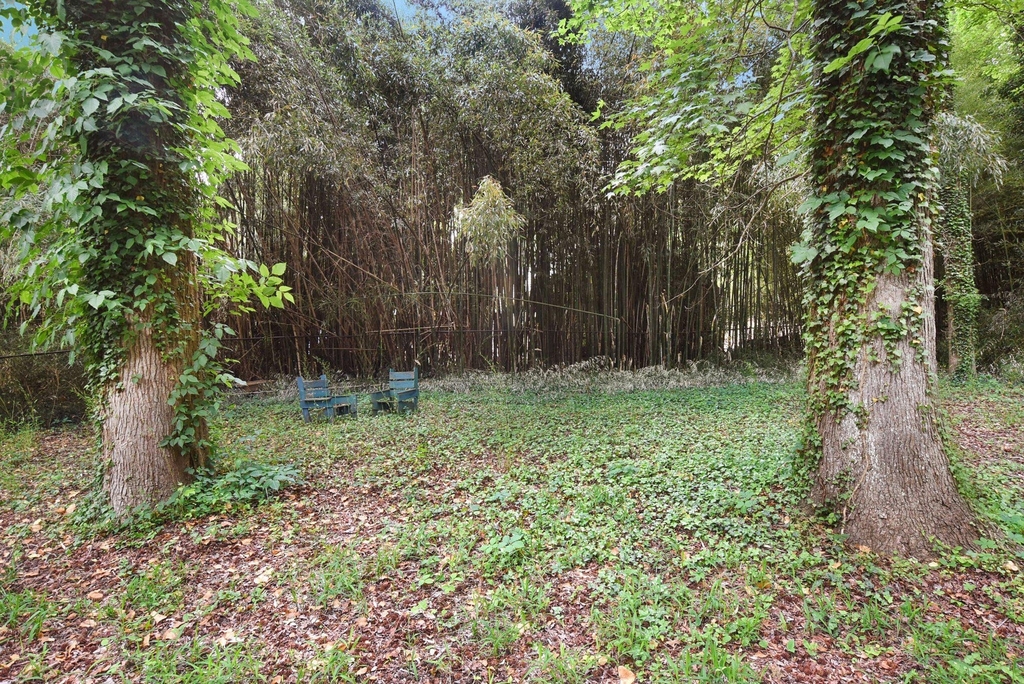 149 Windcliff Road - Photo 31