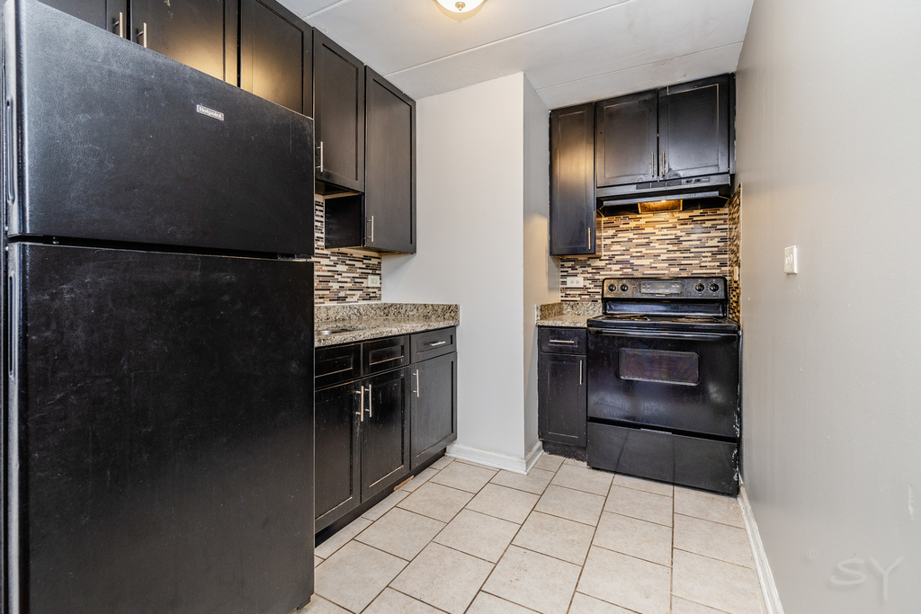 6416 S Saint Lawrence Avenue - Photo 4