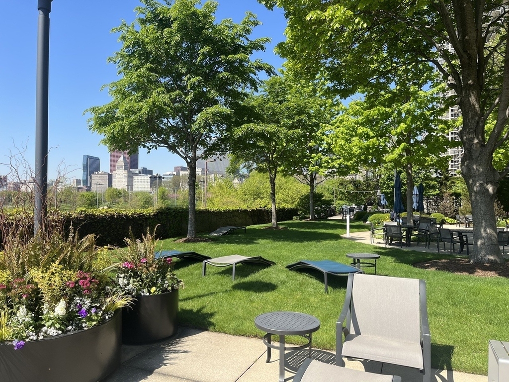 155 N Harbor Drive - Photo 13