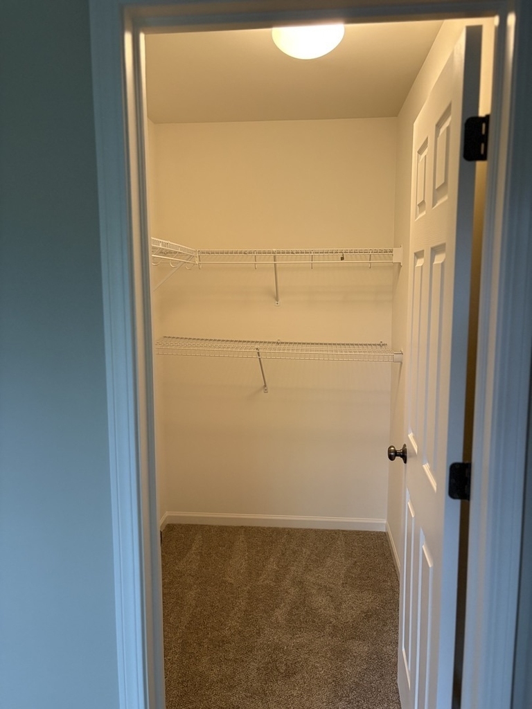 2912 Forest Creek Lane - Photo 13