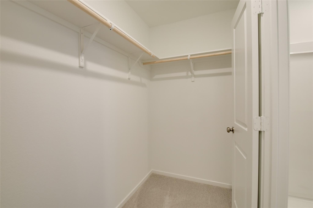 10915 Tawny Ridge - Photo 19