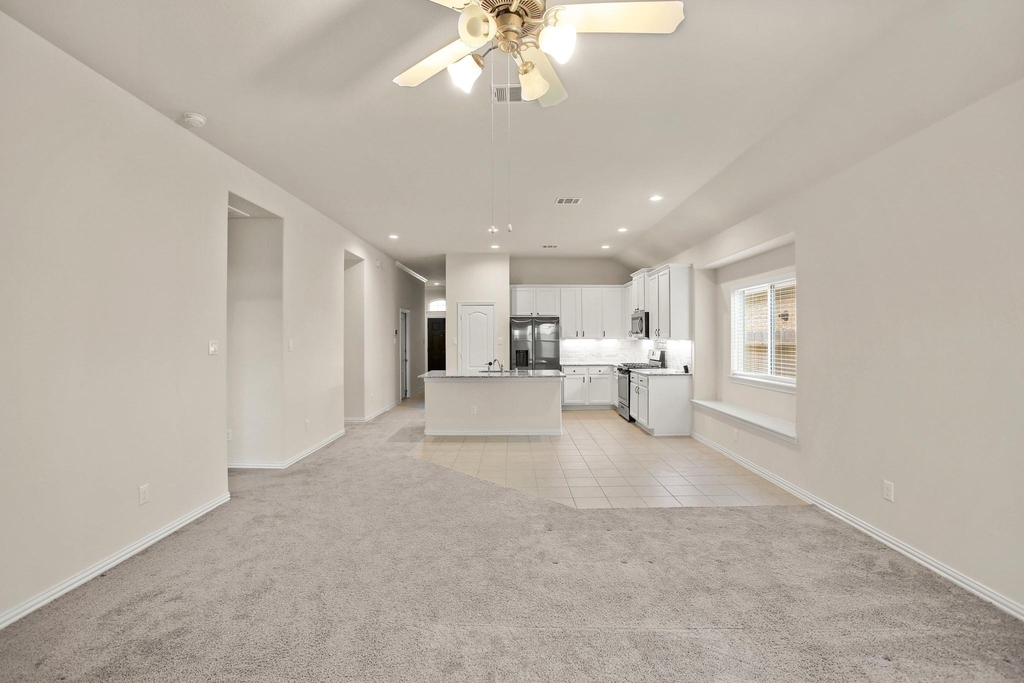 10921 Cathedral Peak Drive - Photo 4
