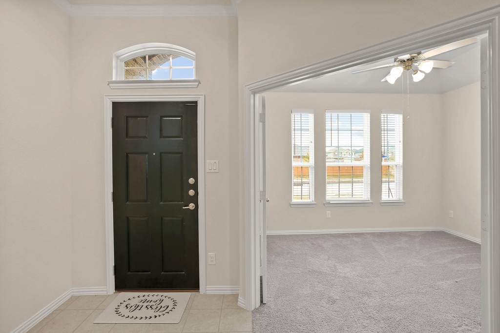 10921 Cathedral Peak Drive - Photo 2
