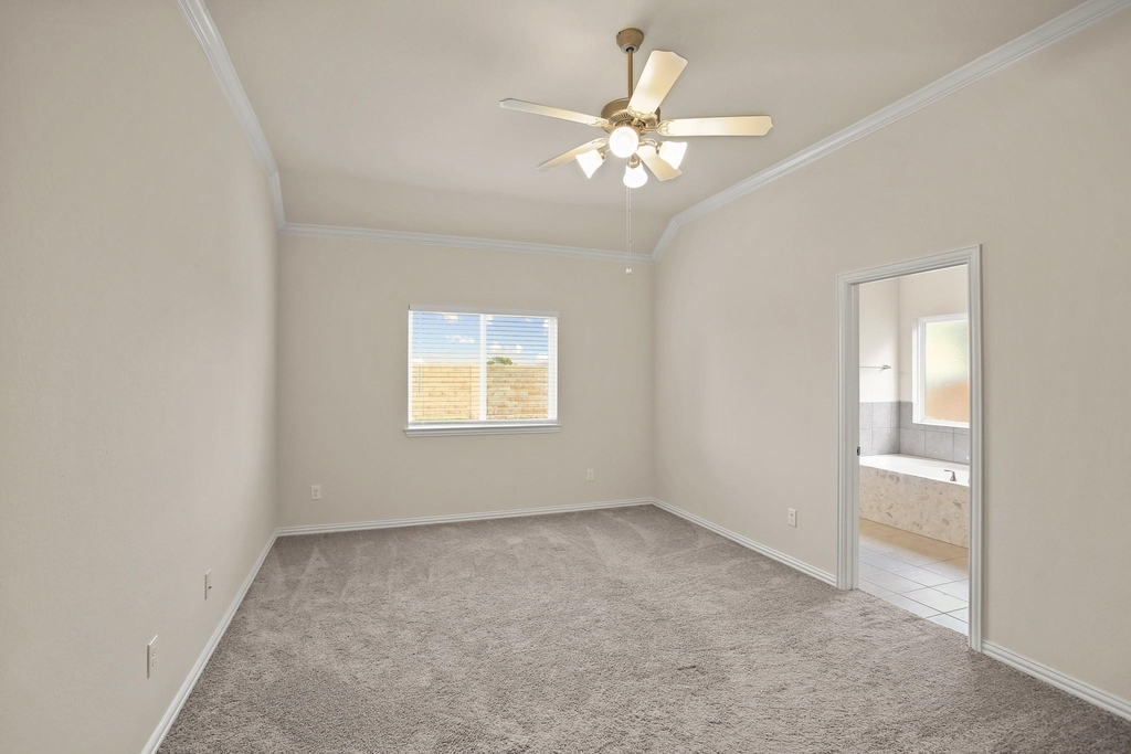 10921 Cathedral Peak Drive - Photo 9
