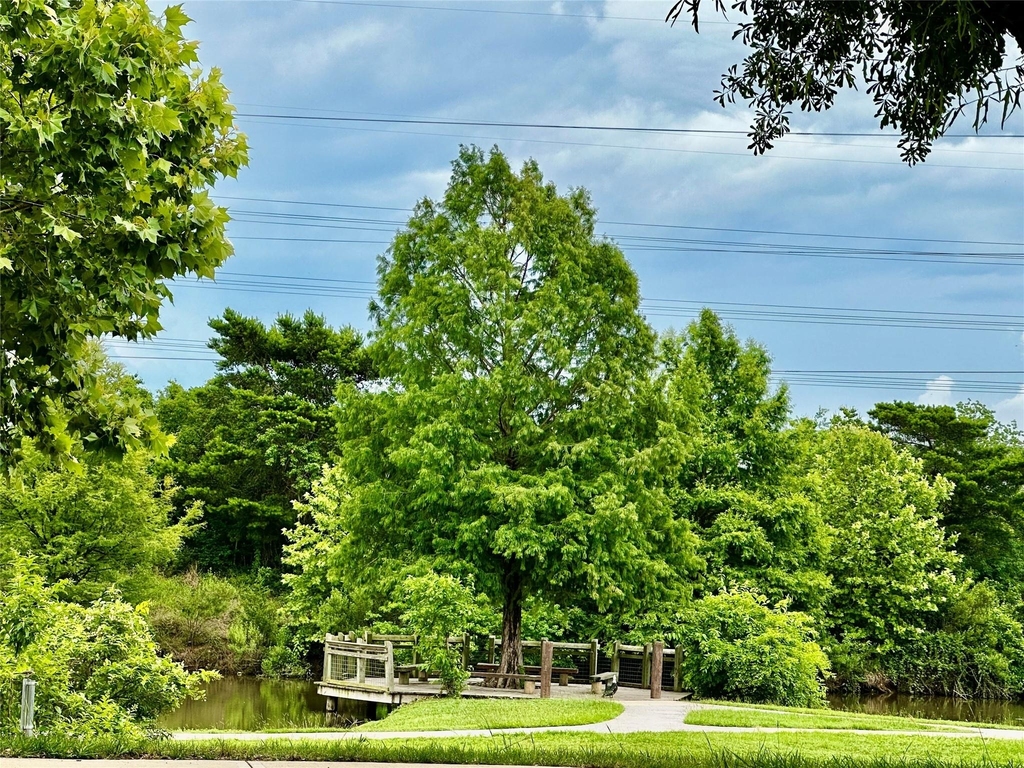 11036 Mistic Moon Court - Photo 24