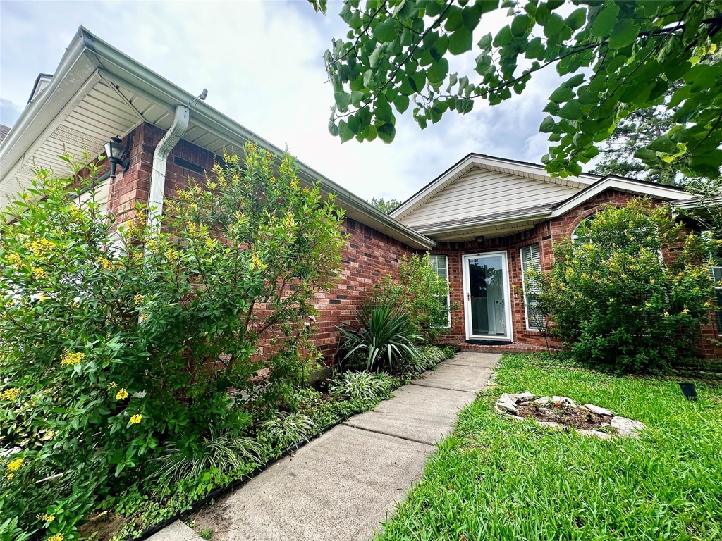 11036 Mistic Moon Court - Photo 1