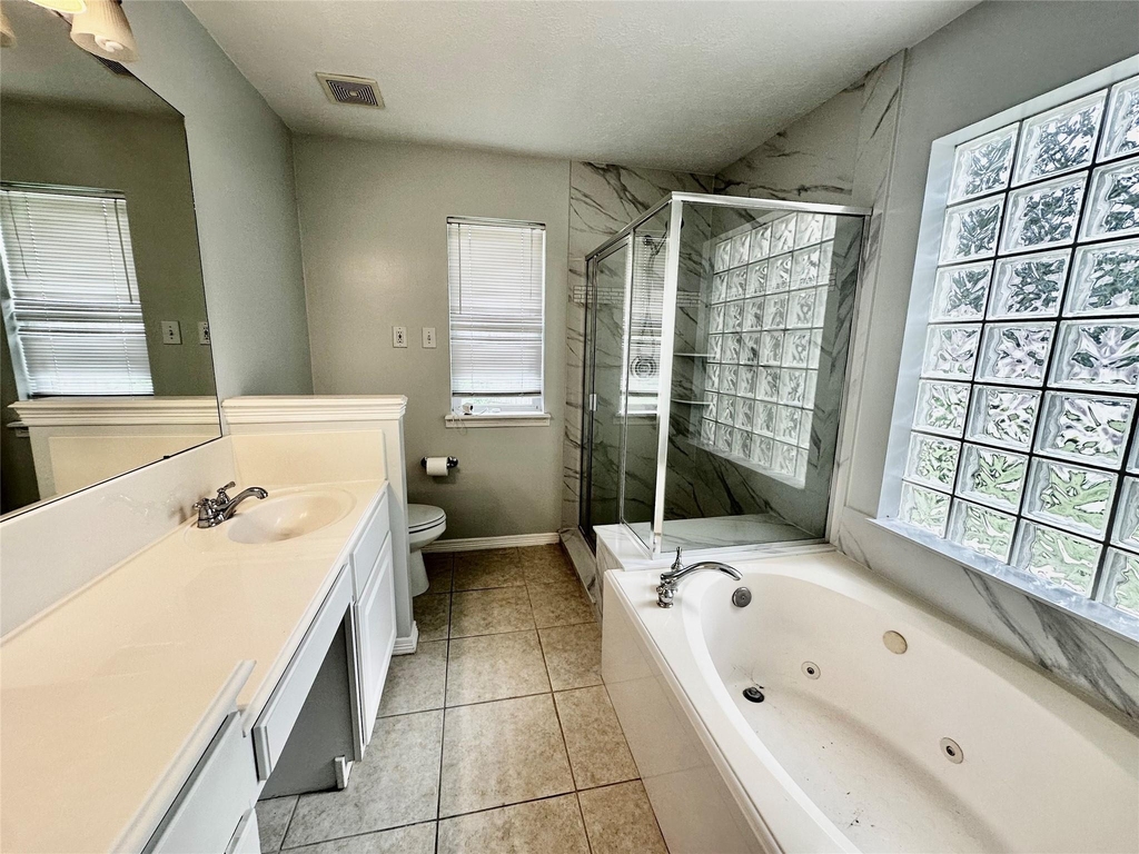 11036 Mistic Moon Court - Photo 14