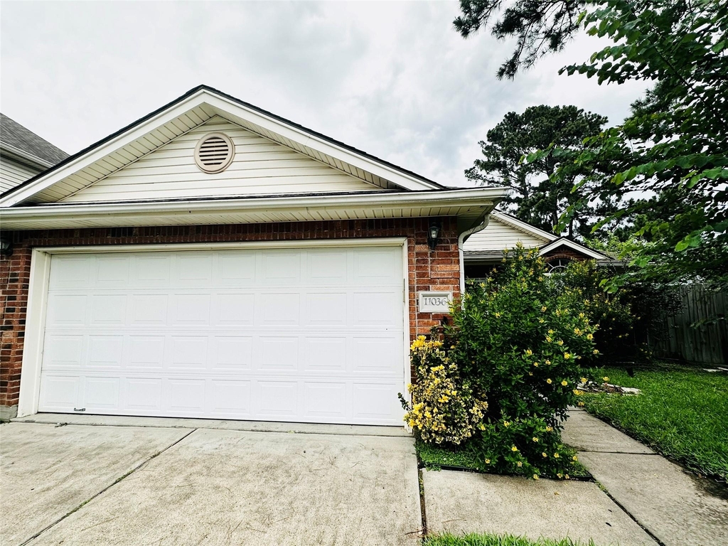 11036 Mistic Moon Court - Photo 0