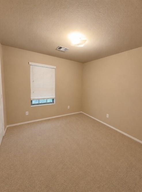 811 Lovebug Lane - Photo 5
