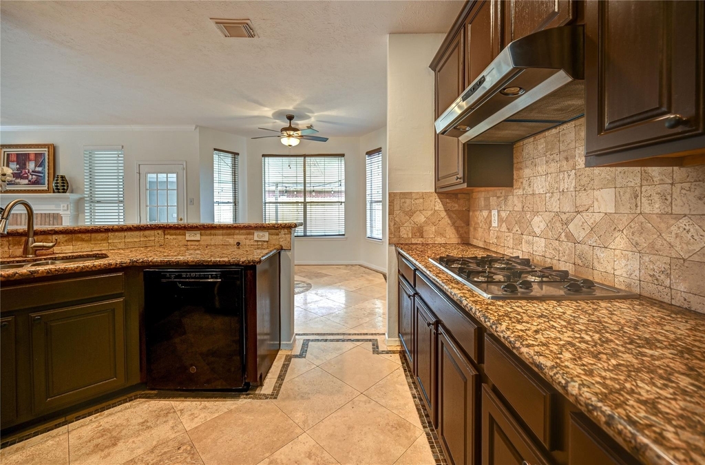 11906 Dinosaur Valley Drive - Photo 13