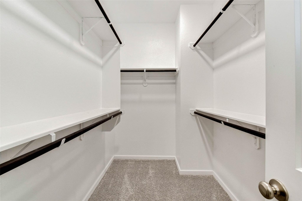 11831 Marbled White Lane - Photo 23
