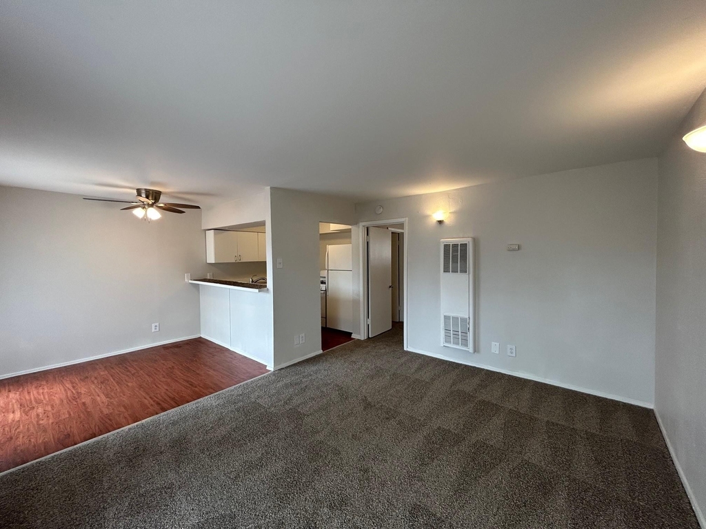 3629 N Mac Gregor Way - Photo 1
