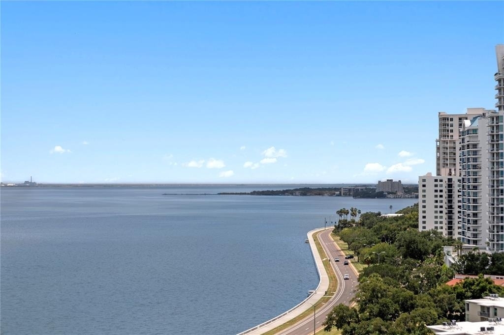 3301 Bayshore Boulevard - Photo 3