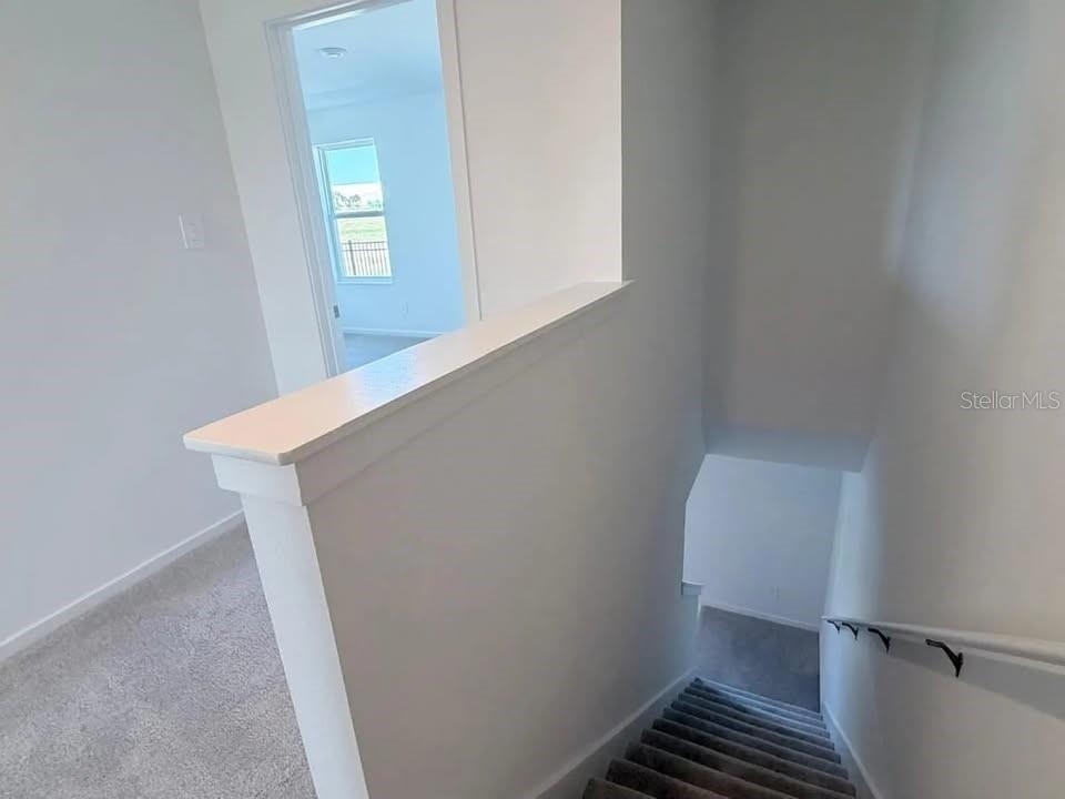 880 Lynx Street - Photo 36