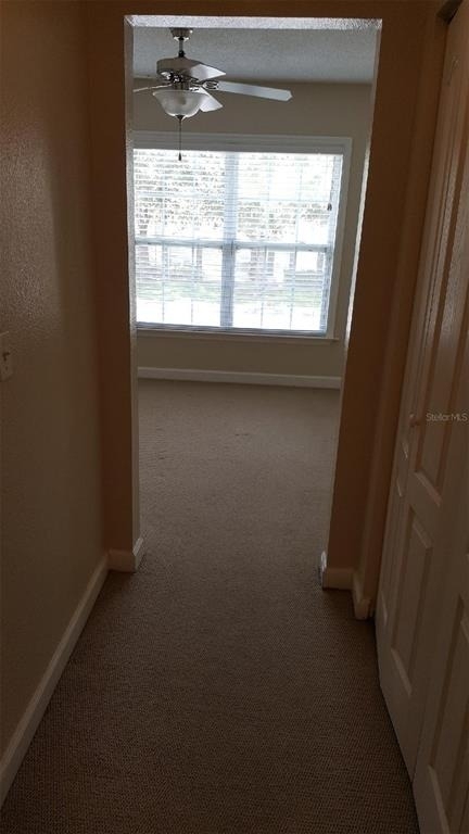 2035 Dixie Belle Drive - Photo 9