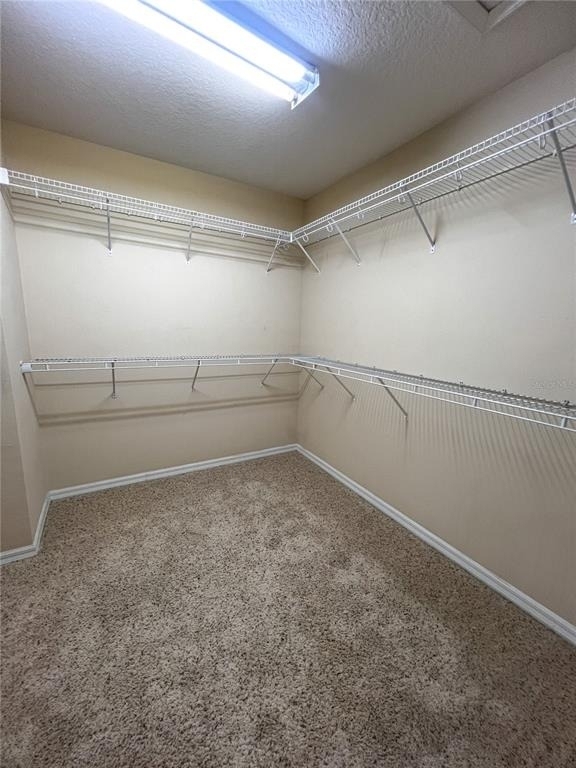 14252 Confetti Drive - Photo 47