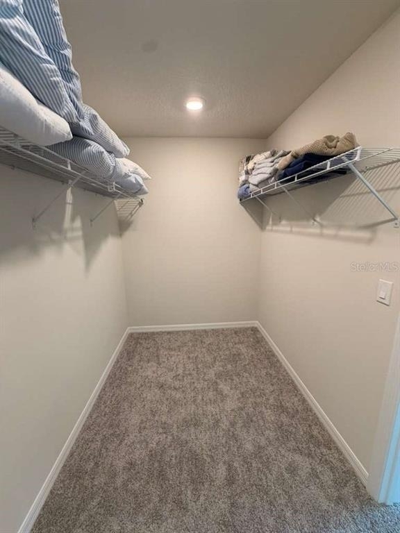 5051 Starling Bird Lane - Photo 12