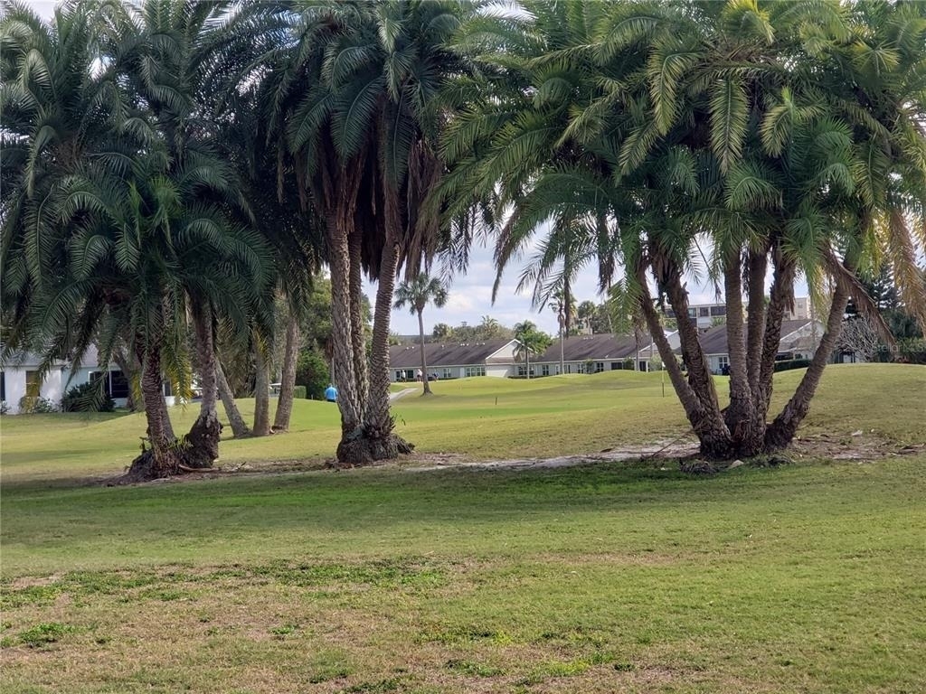 2725 Terra Ceia Bay Boulevard - Photo 34