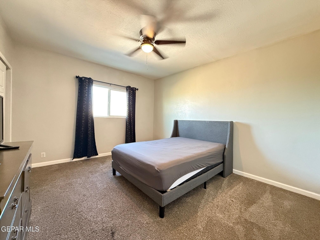 7441 Alameda- Rear Avenue - Photo 19