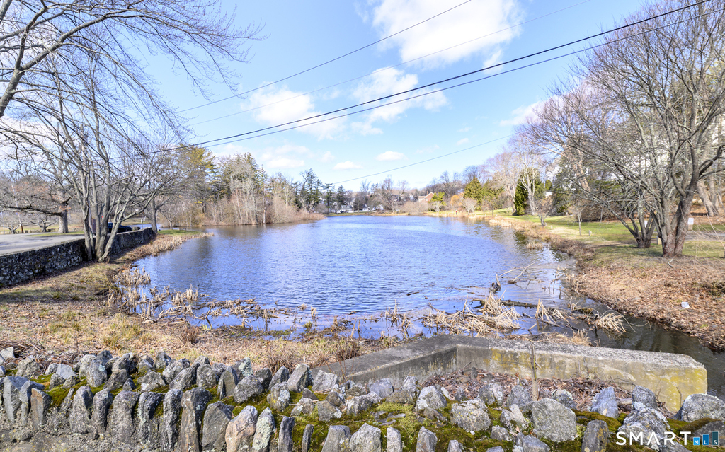 244 Park Street - Photo 23