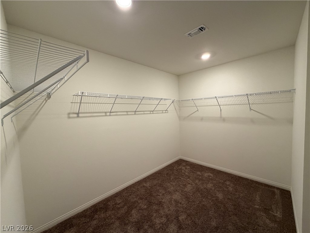 7056 Dandelion Park Avenue - Photo 10