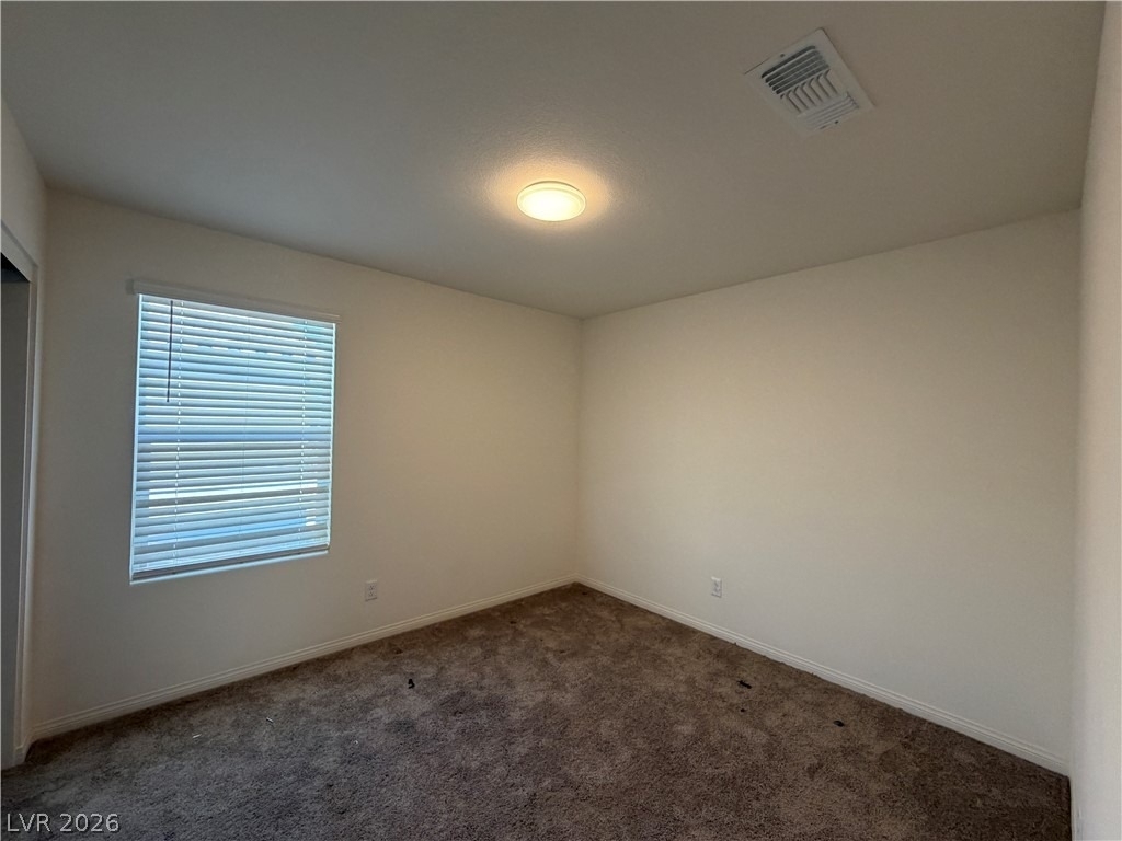 7056 Dandelion Park Avenue - Photo 15