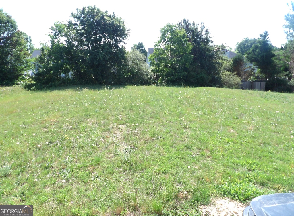 4341 Estate Street - Photo 17