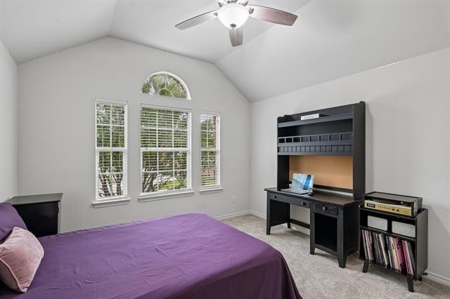 800 Texana Drive - Photo 30