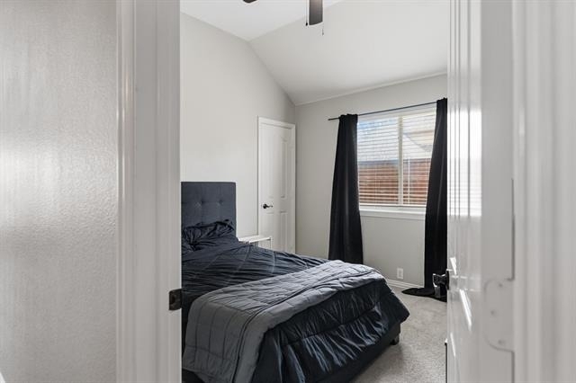 2616 Pine Trail Drive - Photo 15