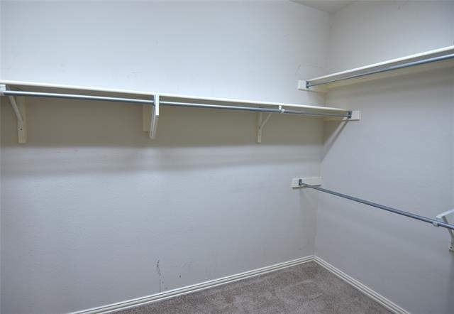 3016 Myrtice Drive - Photo 16