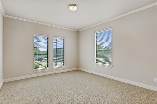 20 Tranquil Pond Drive - Photo 33