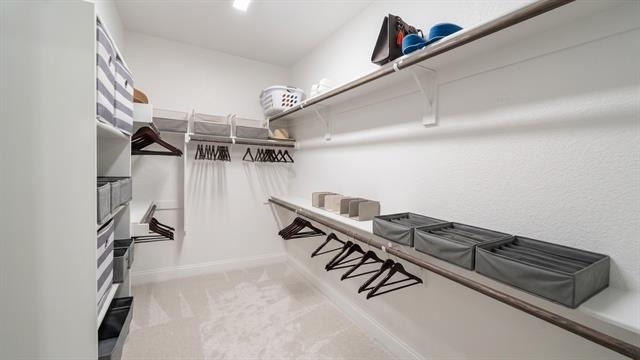9224 Armadillo Trail - Photo 10