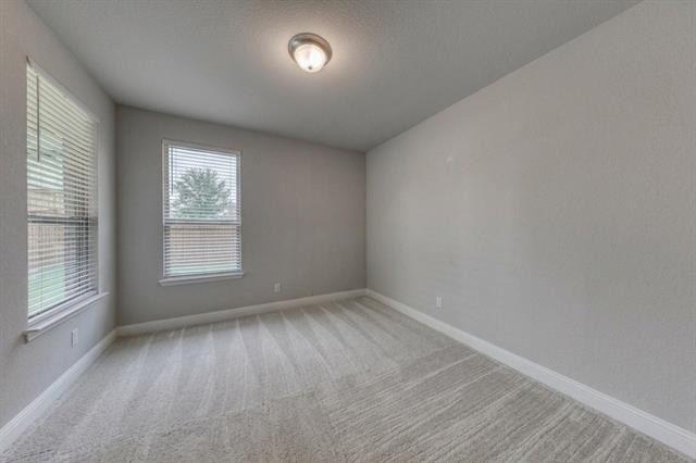 9224 Armadillo Trail - Photo 6