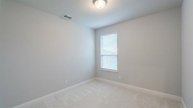 9224 Armadillo Trail - Photo 4