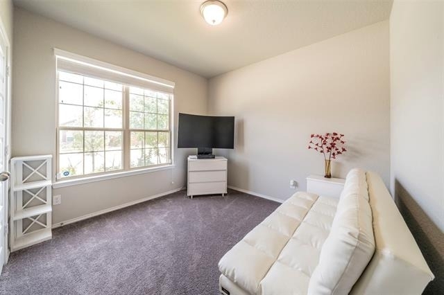 14109 Cassiopeia Drive - Photo 17
