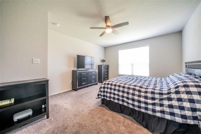 14109 Cassiopeia Drive - Photo 10