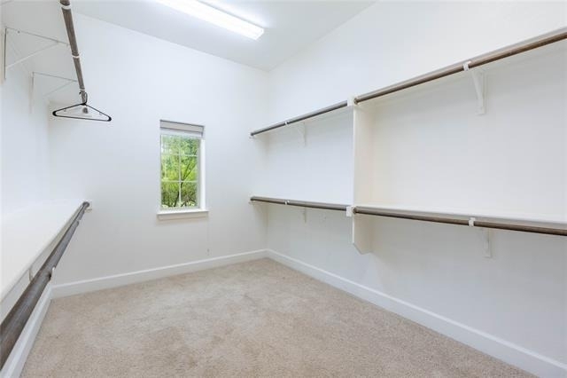 1113 Peacock Boulevard - Photo 22