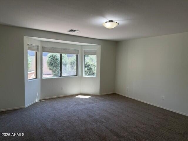 43205 W Jeremy Street - Photo 10