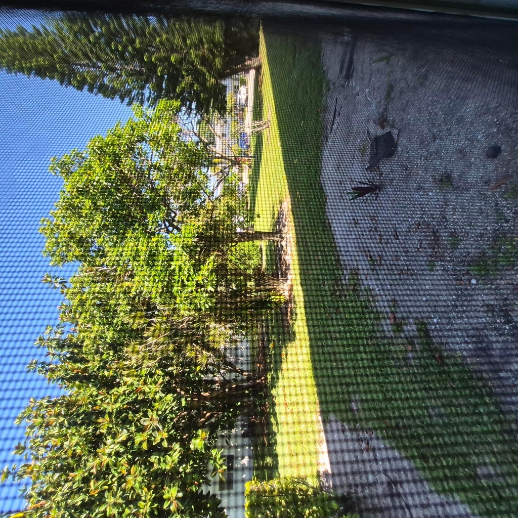 118 Kent H - Photo 9