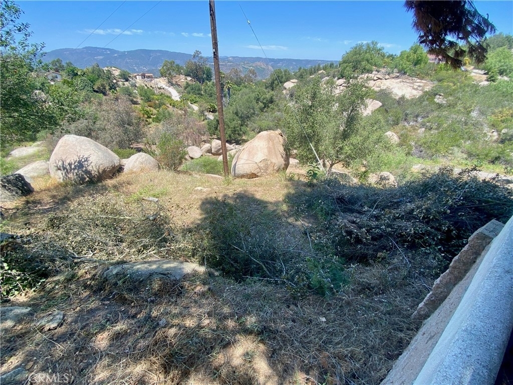 2761 Joan - Photo 9