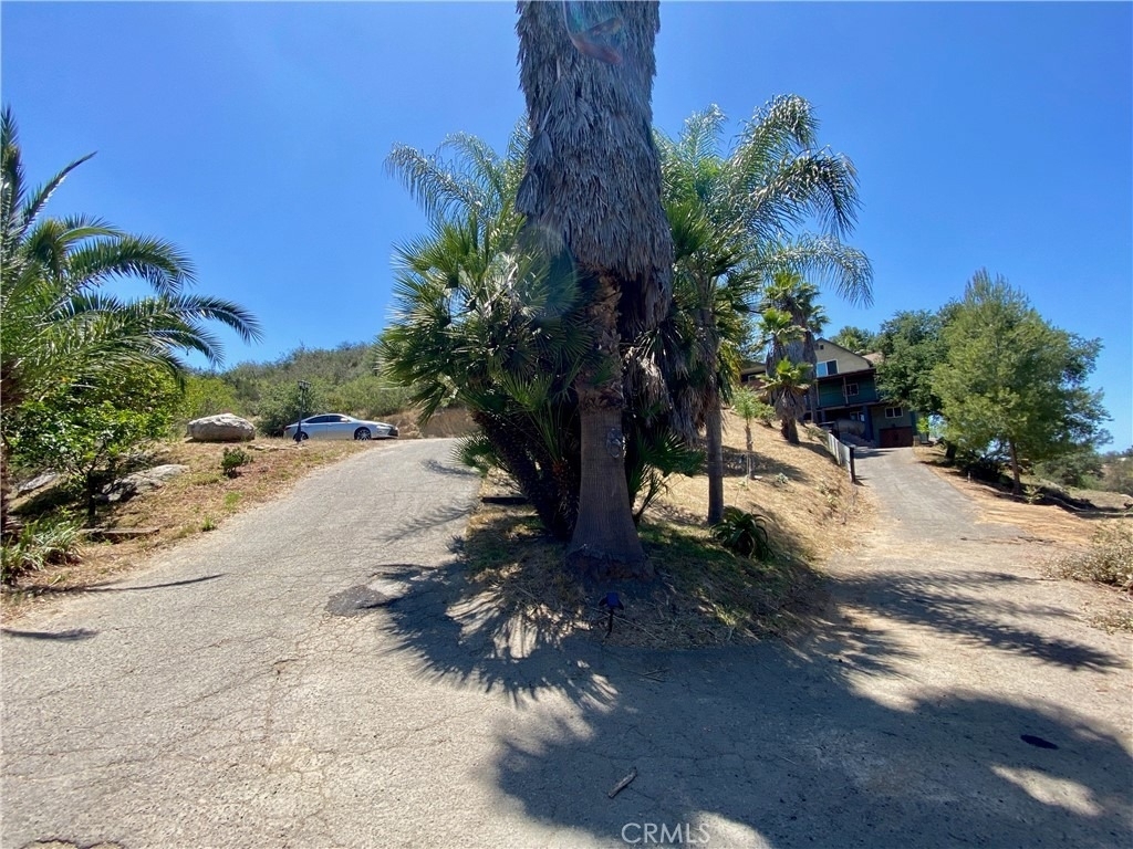 2761 Joan - Photo 2