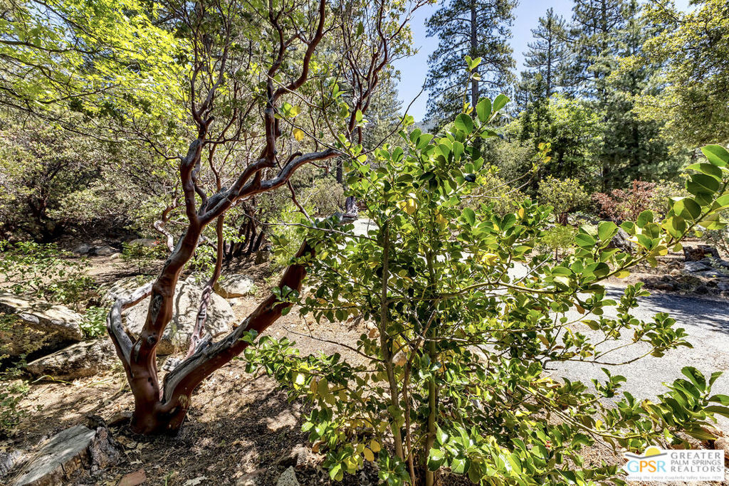 25465 Seneca Drive - Photo 49