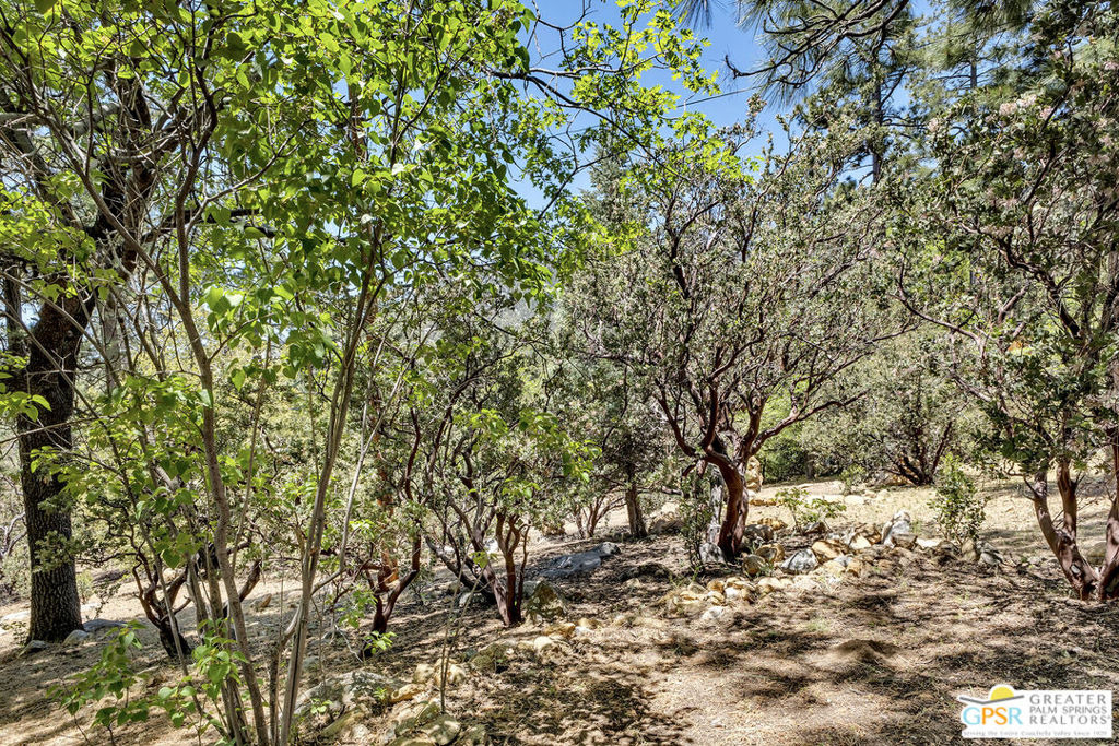 25465 Seneca Drive - Photo 5