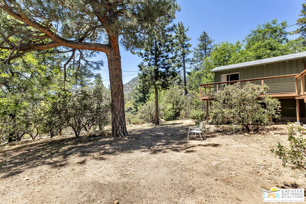 25465 Seneca Drive - Photo 58