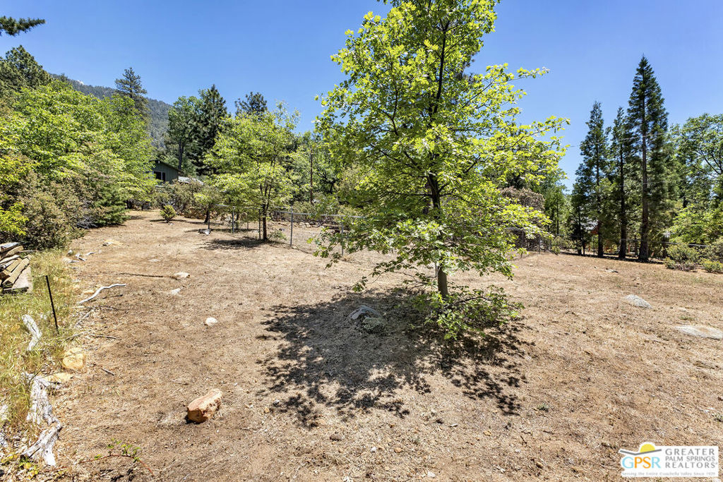 25465 Seneca Drive - Photo 61