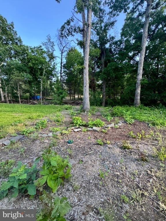 12385 Cold Stream Guard Court - Photo 43